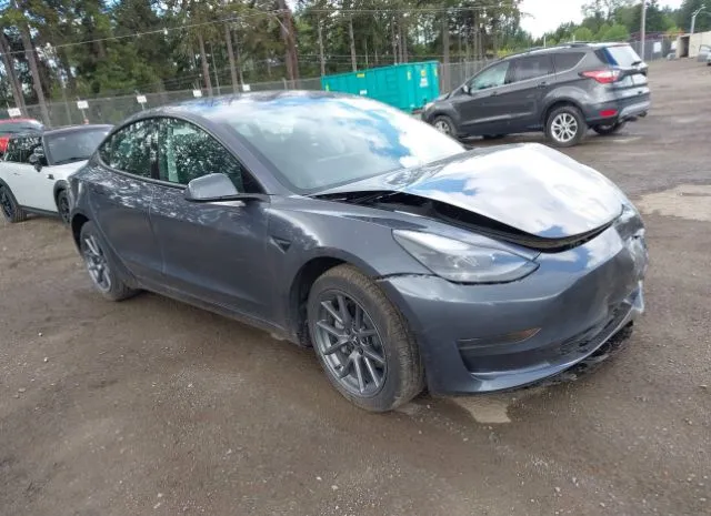 2023 TESLA  - Image 1.