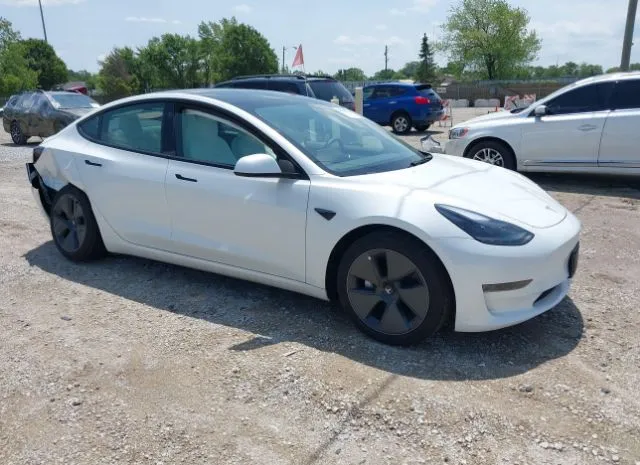 2023 TESLA  - Image 1.