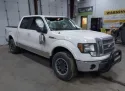 2011 FORD F-150 5.0L 8