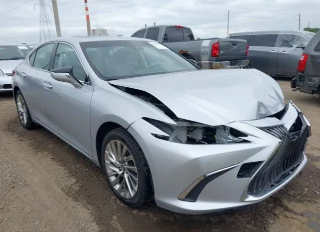 2019 LEXUS  - Image 1.