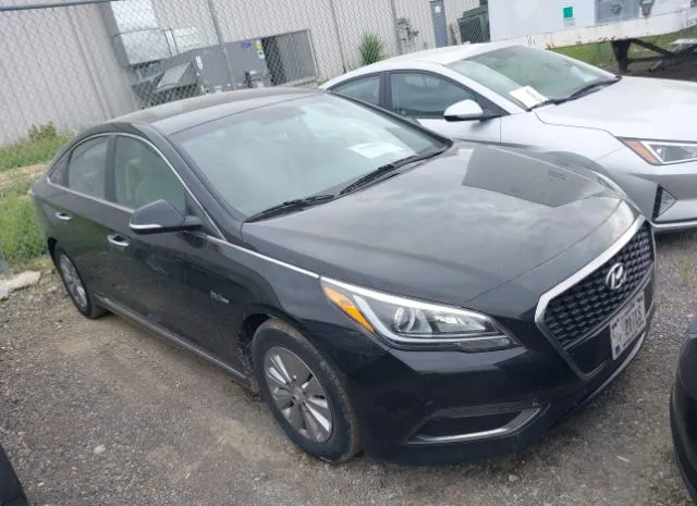 2016 HYUNDAI  - Image 1.