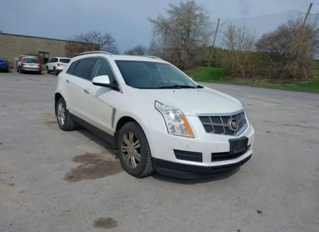 2010 CADILLAC  - Image 1.