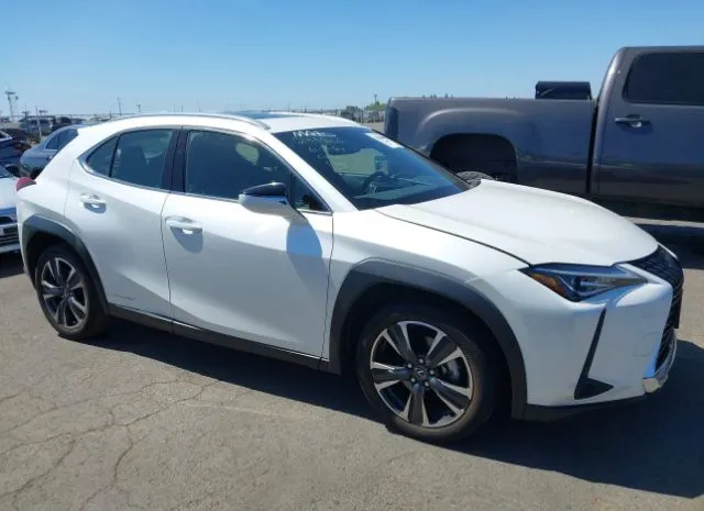 2019 LEXUS  - Image 1.