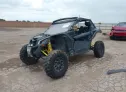2019 CAN-AM  - Image 2.