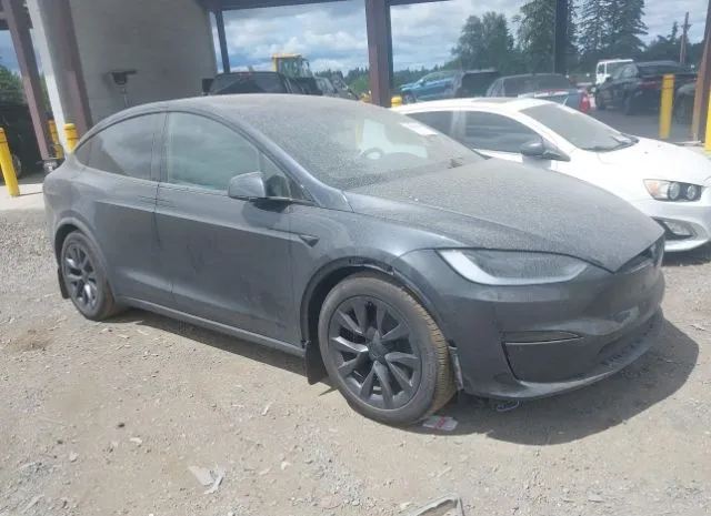 2023 TESLA  - Image 1.