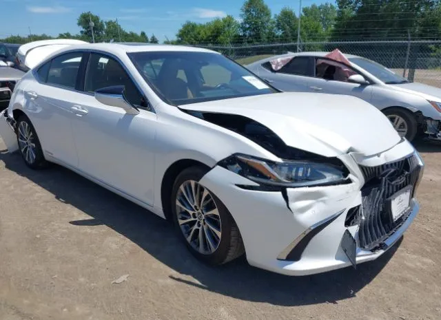 2019 LEXUS  - Image 1.