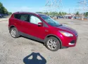 2014 FORD ESCAPE 1.6L 4