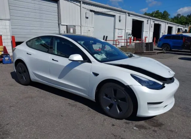 2023 TESLA  - Image 1.