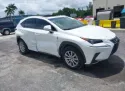 2020 LEXUS NX 300 2.0L 4