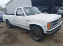 1989 DODGE DAKOTA 3.9L 6