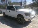 2010 FORD F-150 4.6L 8