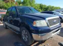 2006 FORD F-150 4.6L 8