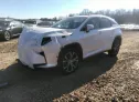 2019 LEXUS  - Image 2.