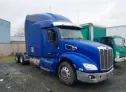 2019 PETERBILT  - Image 1.