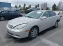 2002 LEXUS  - Image 2.