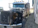 2006 PETERBILT  - Image 2.