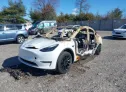 2023 TESLA  - Image 2.