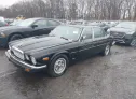 1985 JAGUAR  - Image 2.