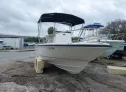 2008 BOSTON WHALER  - Image 1.