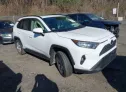 2020 TOYOTA  - Image 1.