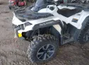 2021 CAN-AM  - Image 2.