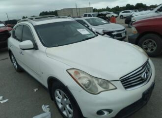  2010 INFINITI  - Image 0.