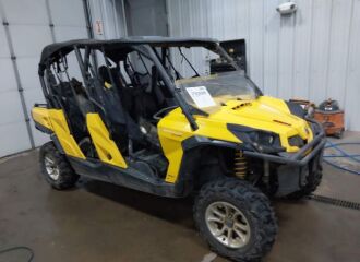  2015 CAN-AM  - Image 0.