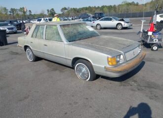  1985 PLYMOUTH  - Image 0.