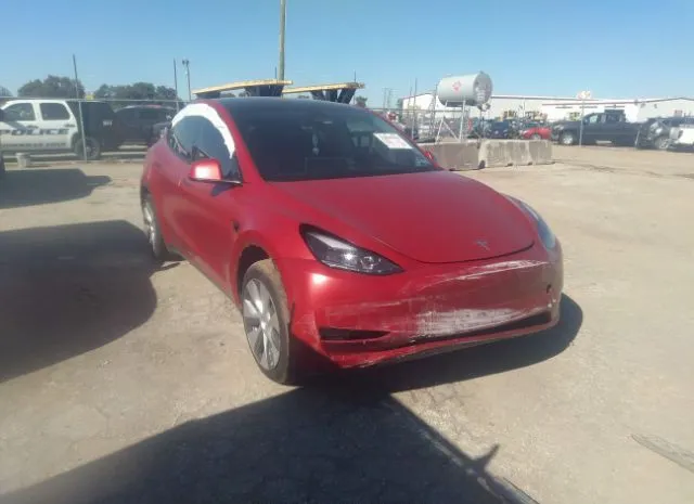 2023 TESLA  - Image 1.