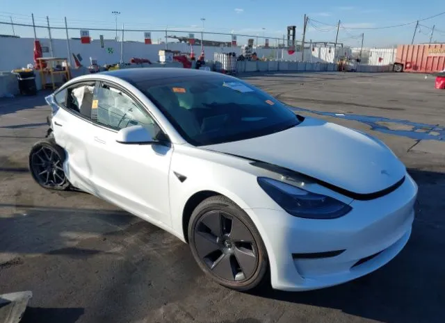 2023 TESLA  - Image 1.