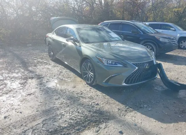 2023 LEXUS  - Image 1.