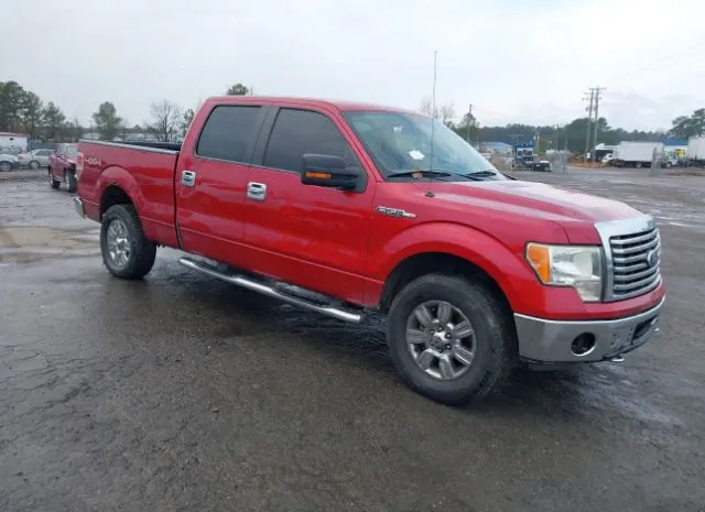 2010 FORD  - Image 1.