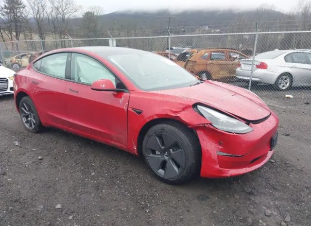 2023 TESLA  - Image 1.