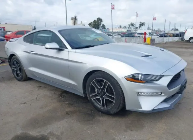 2019 FORD  - Image 1.