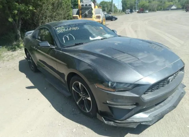 2019 FORD  - Image 1.