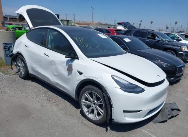 2023 TESLA  - Image 1.