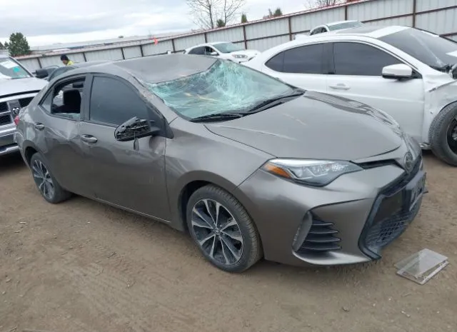 2019 TOYOTA  - Image 1.