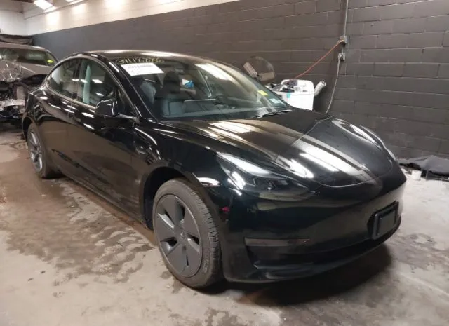 2023 TESLA  - Image 1.