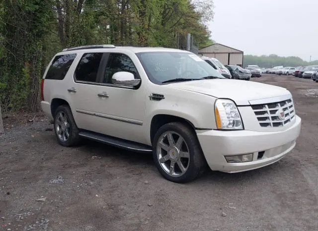 2010 CADILLAC  - Image 1.