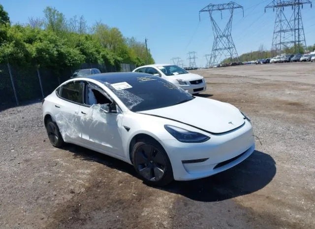 2023 TESLA  - Image 1.